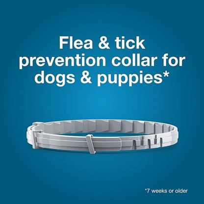 Seresto Flea & Tick Collar For Dogs Over 18 lbs., Treatment & Prevention, Vet-Recommend, 8 Month Protection