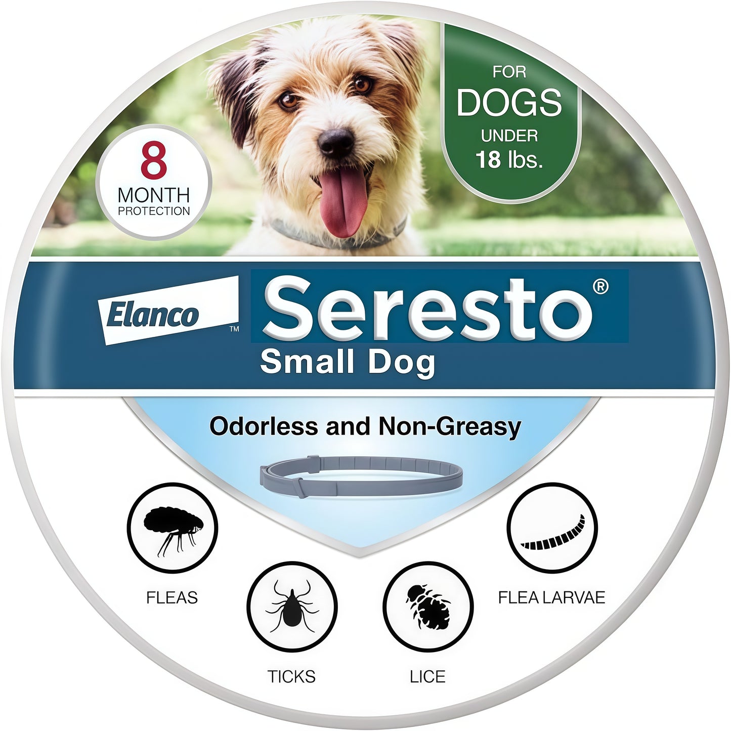 Seresto Small Dog Vet-Recommended Flea & Tick Treatment & Prevention Collar for Dogs Under 18 lbs | 8 Months Protection